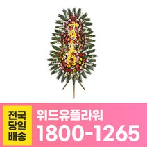 위드유플라워 축하화환 전국당일배송 축하3단 플러스1