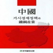[개똥이네][중고-상] 중국 거시경제정책과 철강산업