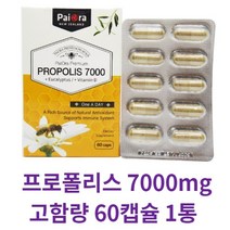 사은품+파이오라 뉴질랜드 프로폴리스 면역강화 7000mg 60캡슐, 프로폴리스 7000mg 60캡슐 1통, 1개