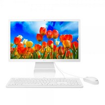 (LG전자 일체형 PC 22VD280-LX24K (기본 제품 기본/전자/일체형/제품, 단일 모델명/품번