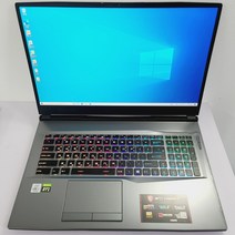 MSI 17인치 게이밍 GP시리즈 RTX2060 중고노트북, GP75 10SEK, WIN10 Home, 16GB, 512GB, 코어i7, 블랙