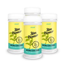 스테비아 설탕 비웰 슬림 플래너 스테비아 천연설탕 가루 300g, 4병