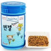 엔젤피쉬사료 고급먹이