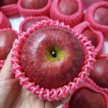 푸드마실 껍질째먹는 경북 청송 안동 꿀사과, 사과 3kg(15~18과), 1개