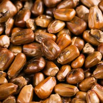 봉래 국산 볶은 옥수수차 1kg 4개입 박스/찰옥수수차/결명자차/햇옥수수 식품 > 커피/차 티/전통차 기타전통차 오미자차, 1개” class=”wr-img”></a></div>
</p></div>
</p></div>
</p></div>
<div class=