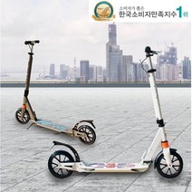 와우닷컴 초등학생 고학년 중학생 청소년 킥보드, 미토-칸