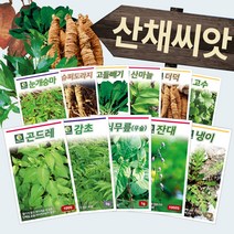 민속채소 약초 산채 토종 산나물 종자 씨앗모음전 - 냉이 취나물 곤드레 도라지 더덕, AT04=곰취나물씨앗100립!