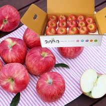 저탄소 gap인증 고당도 의성 햇사과 꼬꼬마4kg(22~25입)/BFK