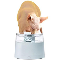 E-Net Innovation 펫 워터 파운틴 PP+ABS 정수기, Green, MS100