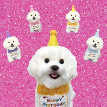 강아지 고양이 생일 파티 용품 반려동물 꼬깔모자 턱받이 세트, 블루