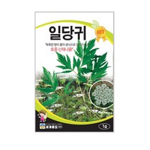 세계종묘 일당귀씨앗 1g