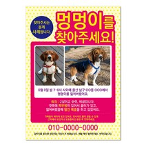 반려견찾기애완실종전단지 고양이 실종 강아지를찾아주세요 디자인무료, 샘플3, 100매