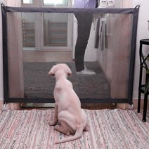 강아지 현관문 안전망 바리게이트 베란다문 차단문