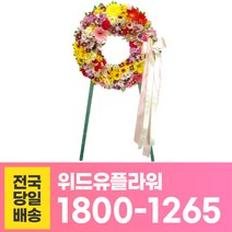 위드유플라워 축하화환 전국당일배송 축하 1단 오브제 C028