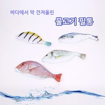 생생한 물고기 모양 천 필통 4가지 종류, 1_고등어