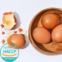 HACCP 인증 구운계란 훈제란 맥반석 구운란, 중란 / 300구 + 소금 10봉