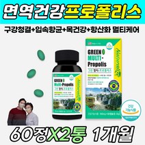 츄어블 브라질 그린 프로폴리스 입 안 속 냄새 제거 항산화 활성산소 차단 비타민 A b C E 뼈 건강 종류 효능 효과 이뮨 nk 면역 세포 폴리페놀 폴리 플로 폴라 폴리스 영양제
