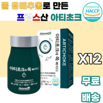 아티초크 추출분말 ARTICHOKE 프랑스산 유기농 물용매추출 귀족채소 진공농축 저온살균 스프레이건조 남녀노소 누구나 먹기편한 여성 여자 학생 대학생 여대생 부모님 꽃봉우리, 12박스, 60정