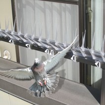 안티버드 실외기 베란다 비둘기퇴치 1.2M 40cm X 3, 단품