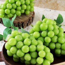 [오감프룻]꿀당도 최상품 망고포도 씨없는 국내산 샤인머스켓 2kg 4kg, 1개, 샤인 선물용4kg (4수)