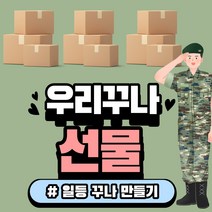 박스 꾸밈 무료! 군인남자친구선물 군인선물 군인선물세트 군화 꾸나 고무신 진급선물 사무실 학교간식, BASIC, 1개