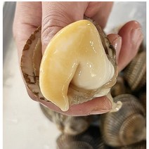 통영 욕지도산 깐 노랑새조개500g, 깐 노랑새조개 500g(급냉), 1개
