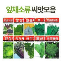 화분월드 잎채소 씨앗, free, 치마아욱