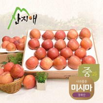 산지애 알뜰 못난이사과(중과) 4.5kg 2box 청송산 미시마 당도선별, 단품