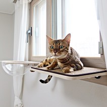 [고양이창틀] 고양이 창틀 선반 -큐브플래닛- (소형 라운드형 고양이 쉼터), 브라운 카펫, 라운드 선반