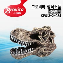 다푼다 그로비타 공룡화석 KP013-2-034/어항/수조