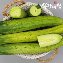 식탐대첩 남도 백오이 특상품 3kg 12~15개, 단품