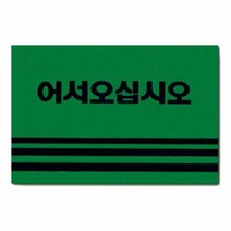 알티피아 카펫매트 로고 90x120 그린, 단품없음, 선택완료