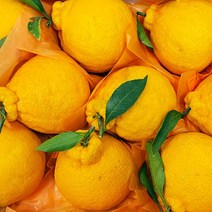 국내산 새콤달콤 한라봉 선물세트 3kg 선물용 가정용, 01_국내산 한라봉 3kg [7-10과]