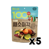 농협 채소미각 건강원물칩 영양간식 30g x 5개, 단품