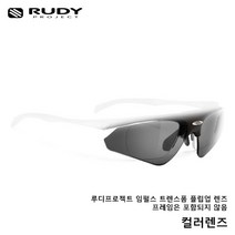 루디프로젝트 익셉션 플립업 렌즈 스모크 블랙 LE9610, 단품
