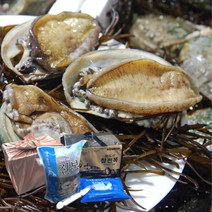 완도 전복 선물세트 1kg 2kg 활전복 직거래 대 특대 왕특대 선물용 보자기 포장 추석 선물 세트, 1_2. 실속 2호