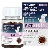 펫시딘 강아지 테아닌 감태추출물, 1개, 스트레스 완화