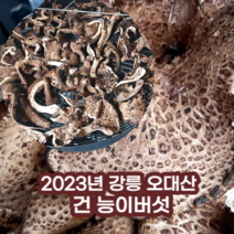 능이버섯 국산능이버섯 1kg 최상품 건능이버섯 90g 강릉오대산능이, 건능이 90g, 1개