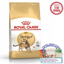 로얄캐닌 캣 뱅갈 어덜트 고양이사료 10Kg+Gift Set(츄르 5P+시리얼 4P+수비드)