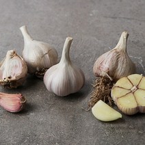 주아재배 의성 한지형 마늘 2kg/3kg/4kg/5kg, 4.의성 마늘 2kg(중/지름3.5~4cm)