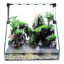 사무실 가드닝 키트 코쿤 비바리움 워터가든 이끼 식물