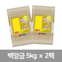대두식품 백옥앙금 55M 5kg, 대두식품 백옥앙금 55M 5kg X 2개(1box), 2개