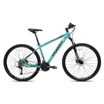 트라젠 TM3900 29인치 24단 유압식디스크 MTB 자전거, 민트/17.5인치, 완조립