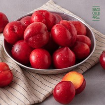 [보섭이네푸드] 상콤달콤 자두 2kg(개당90g내외), 단품