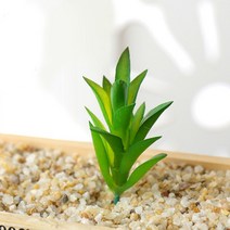 (주)아트인 인조 다육이(S12)