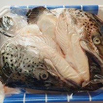 싱싱생연어 노르웨이생연어 냉동 연어머리