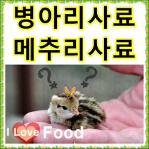 병아리 물통 병아리사료통 1kg 소포장 사료와 묶음배송가능 택배비를 아껴요!!, 14번 병아리사료통