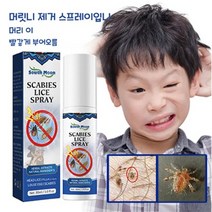 (국내출하)KORE LAN 머릿니 서캐 머리 머릿니 약 고삼 박하 고삼자 머릿니 제거 스프레이입니다, 30ml × 1개, 1개
