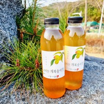 지리산 개복숭아청 500ml 자연숙성 발효액 원액 효소 수건식품, 개복숭아청 500ml X 2병