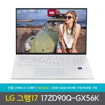 LG전자 LG그램 17ZD90Q-GX56K 램 16GB NVMe1TB NVMe1TB 노트북, Free DOS, 16GB, 2048GB, 코어i5, 스노우화이트